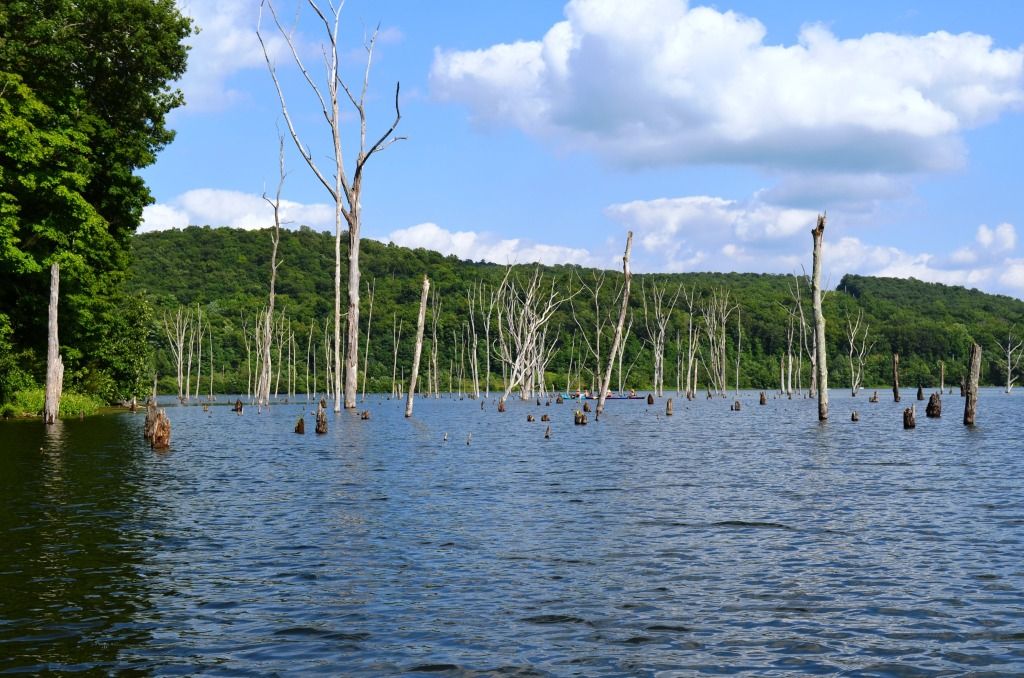Monksville reservoir, canoe Bushcraft USA Forums